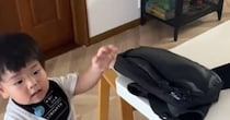 卓上に置かれたじいじのかばん→1歳男の子が持つと……　まさかの光景が210万再生「大変だぁ」「じぃじになりたい」