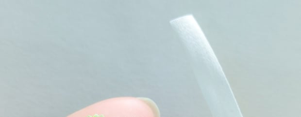 刺しゅう糸作家、白い糸で“野菜”を作ったら…… まさかの完成品に「どういうこと!?」「何がどうなってるのか全くわかんない」