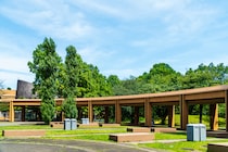 【画像：ランキング16位～1位を見る】