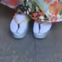 【画像】横から見た様子