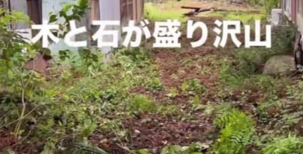 25歳男性、500坪以上の物件を購入→荒れ放題な家を片付けると……　現在の光景に「きれいになくなった」