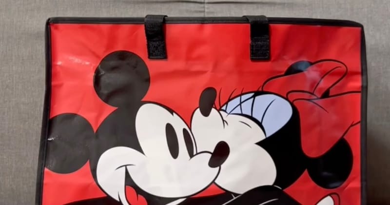 ディズニーストアの“3500円福袋”を購入→開けたら……「ヤバすぎた」　衝撃の中身に「神引きすぎる」「これ3500円って安い」