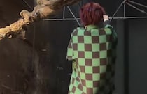 過去一過酷な環境でコスプレ撮影をしたら……「ギリギリ心配が勝つ」「どわぁぁぁ凄すぎる！」　息をのむ光景が合わせて290万表示