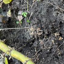 【画像】発見されたもの