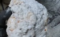 【画像】記事を読む