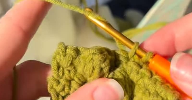 手編みで作ったカエル型バッグ→手を離すと……「ブラボー!」 “まさかの仕掛け”が31万再生 「これ好き」「天才」【海外】