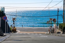 【画像：ランキング15位～1位を見る】