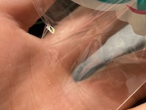 【画像】あかべこの姿