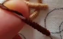 【画像】記事を読む