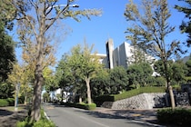 「治安がよく安心です」　学生が認める“評価の高い神奈川県の大学”に「アナウンサーやCAになる人も多い」「楽しい大学生活を送れると思う」の声