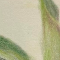 小3娘にレモンの塗り絵を渡したら→なぜか赤の色鉛筆を手に取り……　まさかの仕上がりに「震えた」「塗り絵の域を超えている」