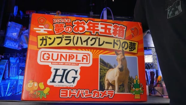 ヨドバシカメラの1万5000円ガンプラ福袋に応募→当選して開けてみると…… 「神箱過ぎる」衝撃の中身に反響