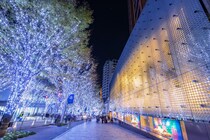 【画像：ランキング10位～1位を見る】