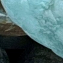 【画像】鑑定結果を見る