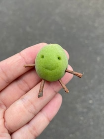 落ちていた木の実に“顔”を付けてみたら……？　すてきな草花遊びに「かわいすぎる」「好きです」
