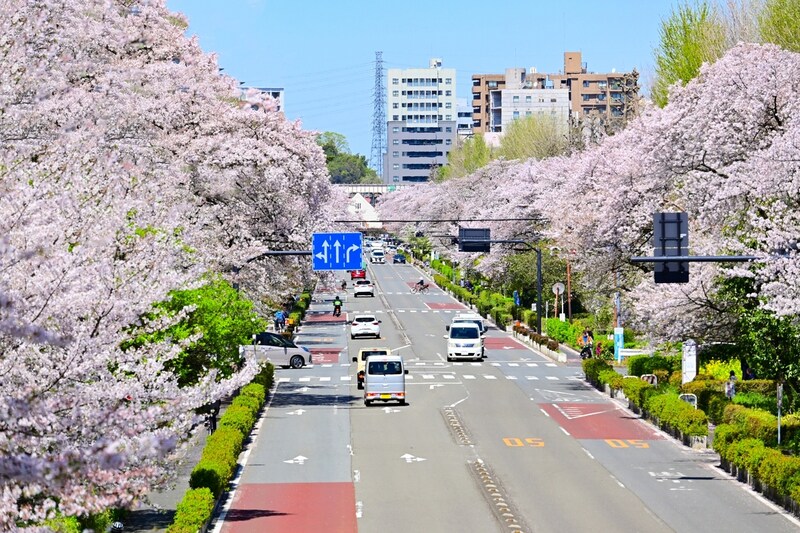 【東京都編】「賃貸で人気の街」ランキング！　2位は「新小岩」、1位は？【1月18日は「いい部屋の日」！】