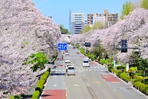 【東京都編】「賃貸で人気の街」ランキング！　2位は「新小岩」、1位は？【1月18日は「いい部屋の日」！】