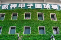 【50代に聞いた】高校野球が強いイメージの「都道府県」ランキングTOP20！　第1位は「大阪府」【2025年最新調査結果】