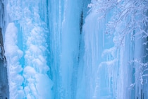 「映画のワンシーンのよう」冬に行きたい北海道・美瑛町の“絶景スポット”「息を呑む美しさ」「間違いなく行く価値があります！」