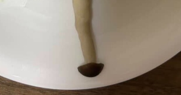 元パティシエ女性が作ったクリスマス料理→なぜか“しめじ”に視線が集中する一皿に「食材選びの天才」「体幹が弱そう」