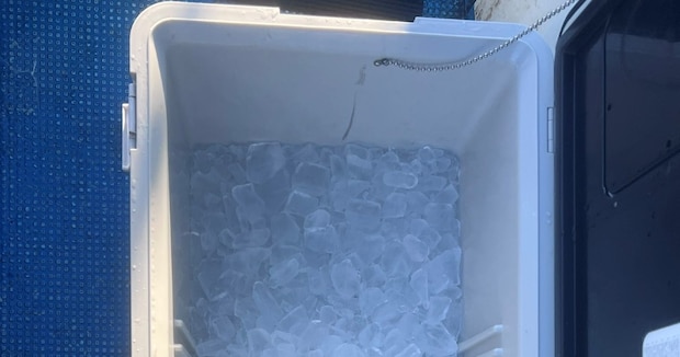 大きなクーラーボックスに詰められた「本日の釣果」 あまりにさみしすぎる光景が190万表示 「VIPルーム」「2度見した」