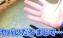 【画像】記事を読む