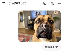 ChatGPTに「愛犬を椎茸にして」と頼んだら……　吹き出し注意な光景に「違うｗそうじゃないｗ」「腹よじれた」「チャッピー天才だな」