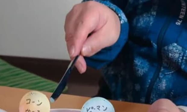 見たことない“性別発表サプライズ”に夫大喜び 目からウロコのアイデアが553万再生「自分もやればよかった!」