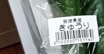 あまった「きゅうり」が行方不明に→探したら……「なぜそこに」　“まさかの光景”に「爆笑してしまいました」
