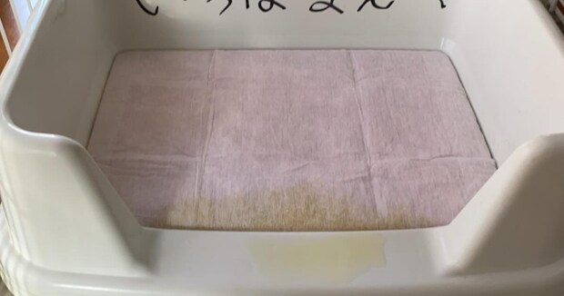 友人の「ペット用トイレ」をよく見たら……「吹いた」　斬新すぎる“お願い”に「面白すぎる」「優しさでてる」