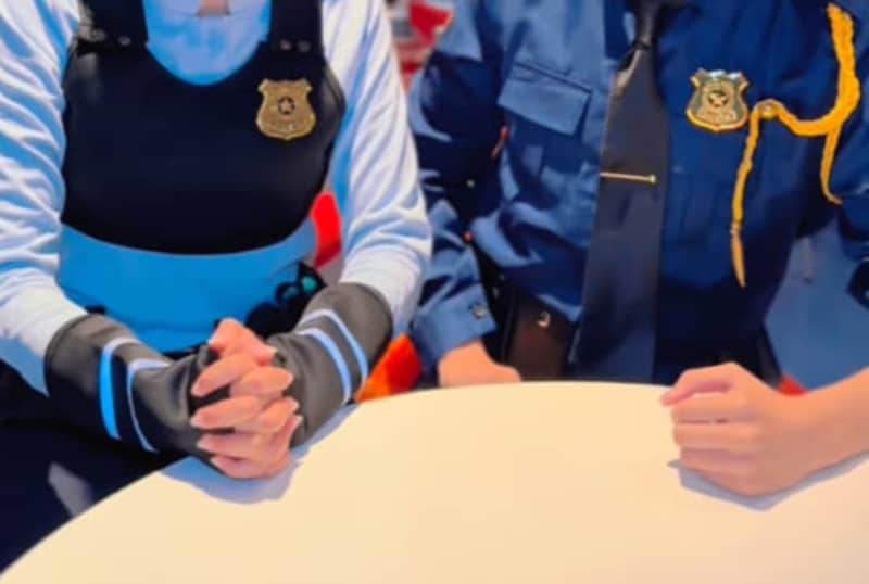 「めっちゃ似てる！」東京ディズニーランドを『ズートピア』に見立てると……“実写化”レベルの再現度に仰天