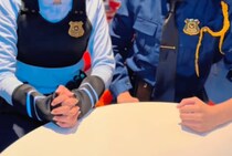 【動画】ディズニーランドを『ズートピア』に見立てたら