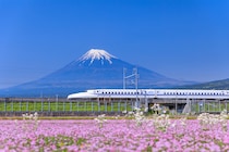 「メチャ美味しかったです」東海道新幹線で食べる“玉子焼きが主役の駅弁”が大人気「上品な味わいかつ丁寧な仕上がり」「ご飯も多くて満足」