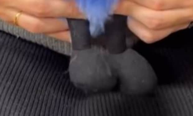 初めて一番くじを買ったら……「信じられない!!」　驚きの結果に「ビギナーズラックがすぎるー」「す、すごい！」「かわいすぎます」