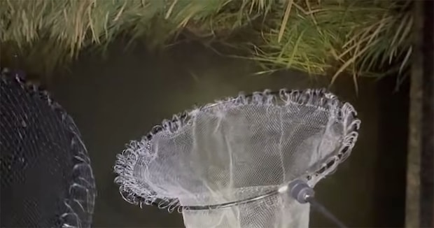 湯気が立つ“怪しげな用水路”→巨大網を入れてみると…… まさかの巨大魚に「なんてすごい環境なんだ」「初めて見た」