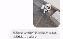 AIに「愛犬を馬にして」と頼んだら……　「どうしてwwww」電車で見たら終わる光景に「お腹痛い!!!」