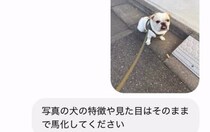 【画像】まさかの光景