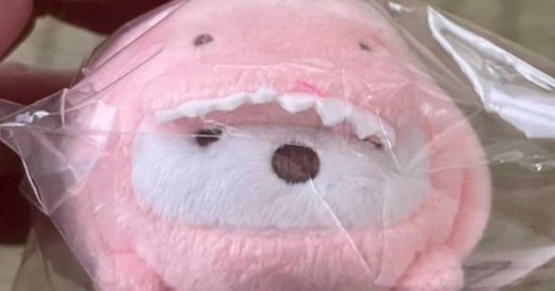 “すみっコぐらし”グッズを兄に頼んだら……「なんか、要るかな、と思って」　“予想外の購入品”に「えぐい　メロい」「ええ兄ちゃんや……」