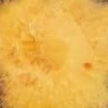 知人からもらった柿→食べようとして、中を切ったら……　「こりゃすごい」衝撃の断面に「やば！」「知らないと焦る」