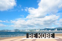 【画像：ランキング16位～1位を見る】