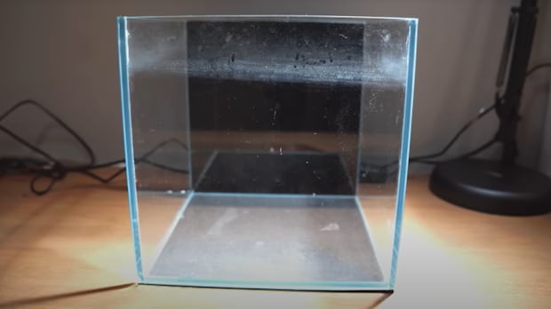 小型水槽と3Dプリンタを組み合わせると……「天才過ぎる」　完成した“最強環境”の設計に反響「完璧な仕上がり」