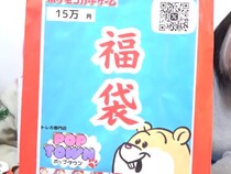 15万円で買ったポケカ福袋→そのまま1年放置したら……「なんていい福袋だ」　激動すぎる“予想外の結果”に「戦略的放置というパワーワードww」【福袋】