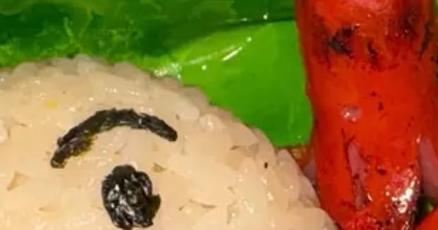 料理に自信が持てない主婦が、“アンパンマンのキャラ弁”を作ったら……「え」「すごーい」「ほんと尊敬!!!」