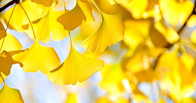 7歳次女が「ママ~!」と渡してきたのは……「天才がおる」 ママ感動のプレゼントに「ステキすぎて泣きました」