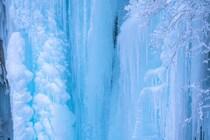 「映画のワンシーンのよう」冬に行きたい北海道・美瑛町の“絶景スポット”「息を呑む美しさ」「間違いなく行く価値があります！」