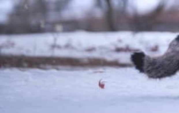 結婚記念日プレゼント、渡してくれたのは夫ではなく……　「こんなん泣いてまう」「小田和正が聞こえてきそう」と感涙の声