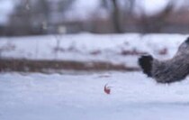 結婚記念日プレゼント、渡してくれたのは夫ではなく……　「こんなん泣いてまう」「小田和正が聞こえてきそう」と感涙の声