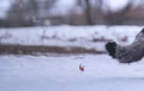 【画像】感涙の理由