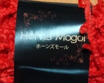 【画像】まさかの完成品