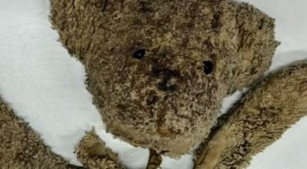 ボロボロなクマのぬいぐるみ→修復のプロが生き返らせると……「ここまで綺麗になるとは」驚きのビフォーアフターに「こんなに白かったのね」